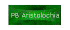 PB Aristolochia
